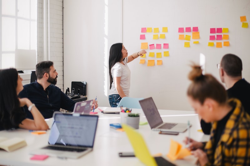Program Development Expert