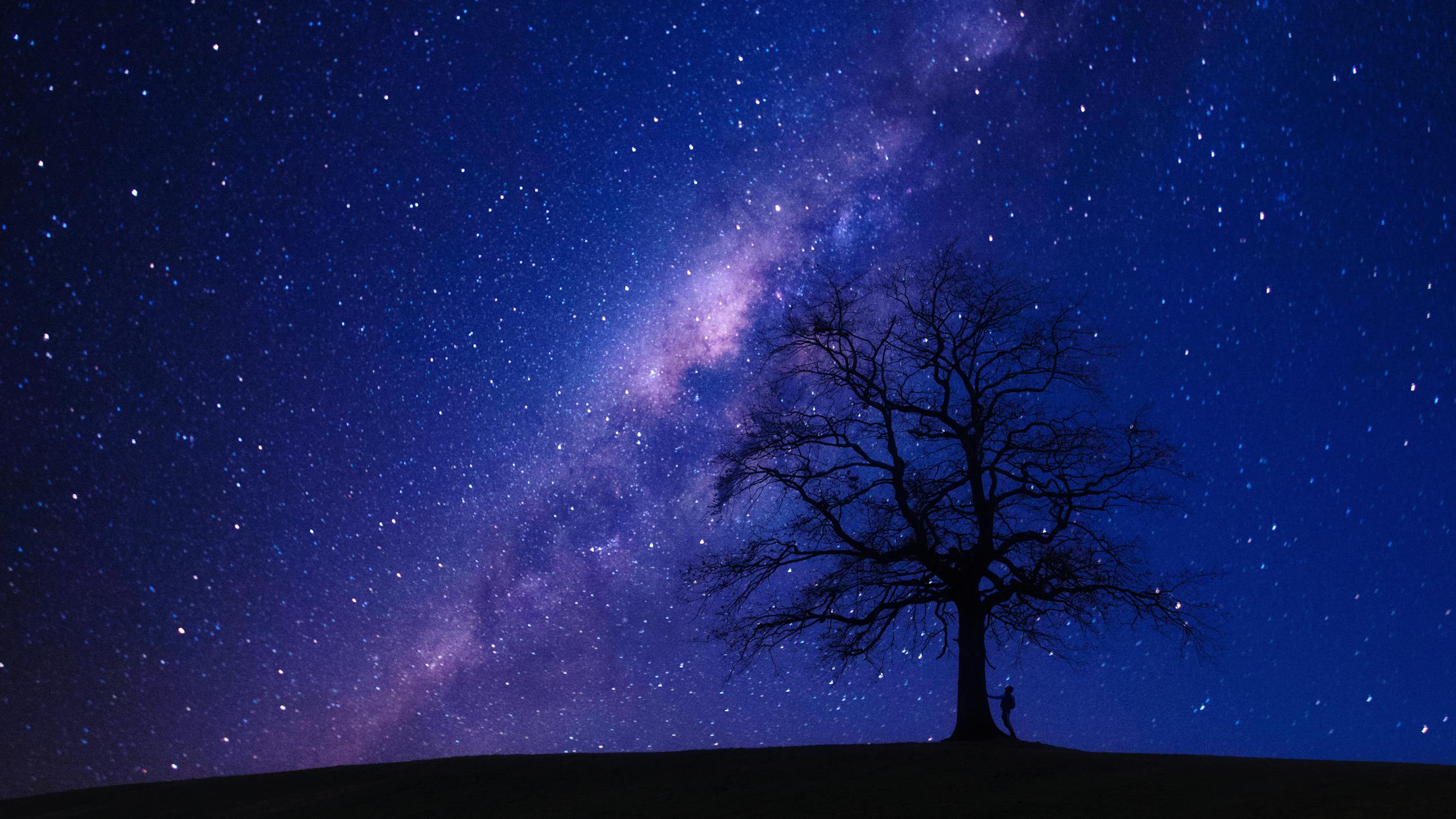 Positive vibes and mindset - starry night sky with tree silhouette